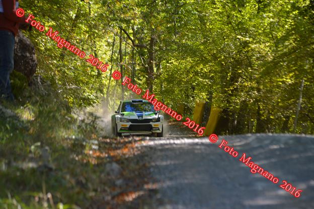 DSC_2050.JPG